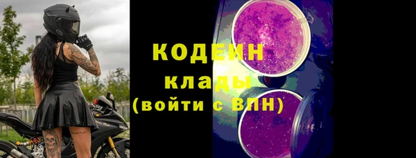трава Наволоки