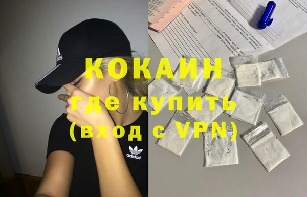 трава Наволоки