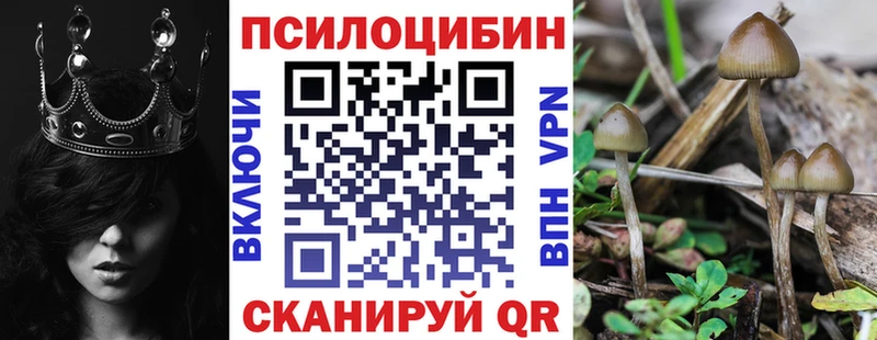 Псилоцибиновые грибы мицелий  Купить закладки  Константиновск 